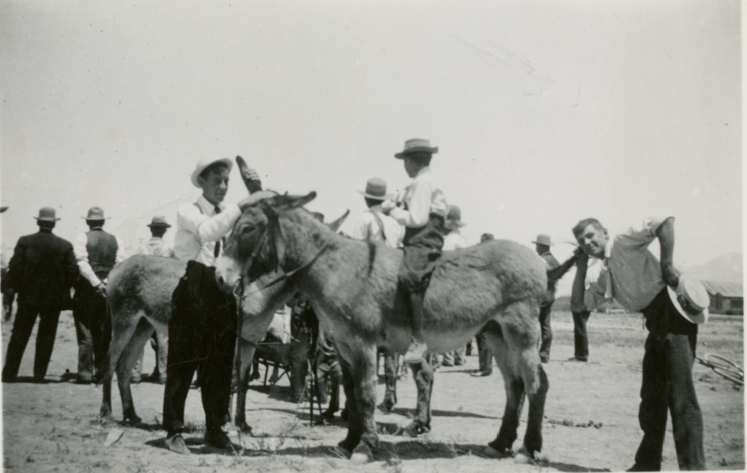 Photo from 1909 of men gathered around a donkey
