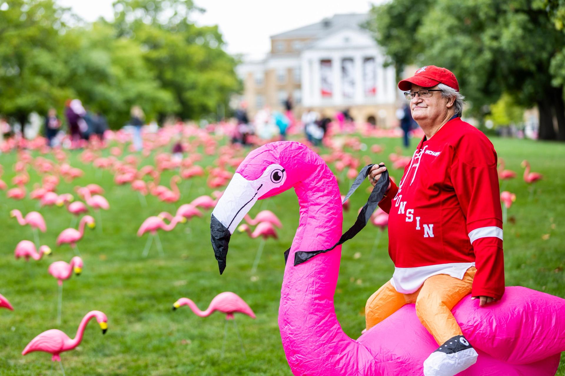 Tedd Snyder, dressed as a flamingo, looks out on the flock as hundreds of plastic pink flamingos adorn Bascom Hill at the University of Wisconsin–Madison as part of “Fill the Hill” on Oct. 6, 2023.