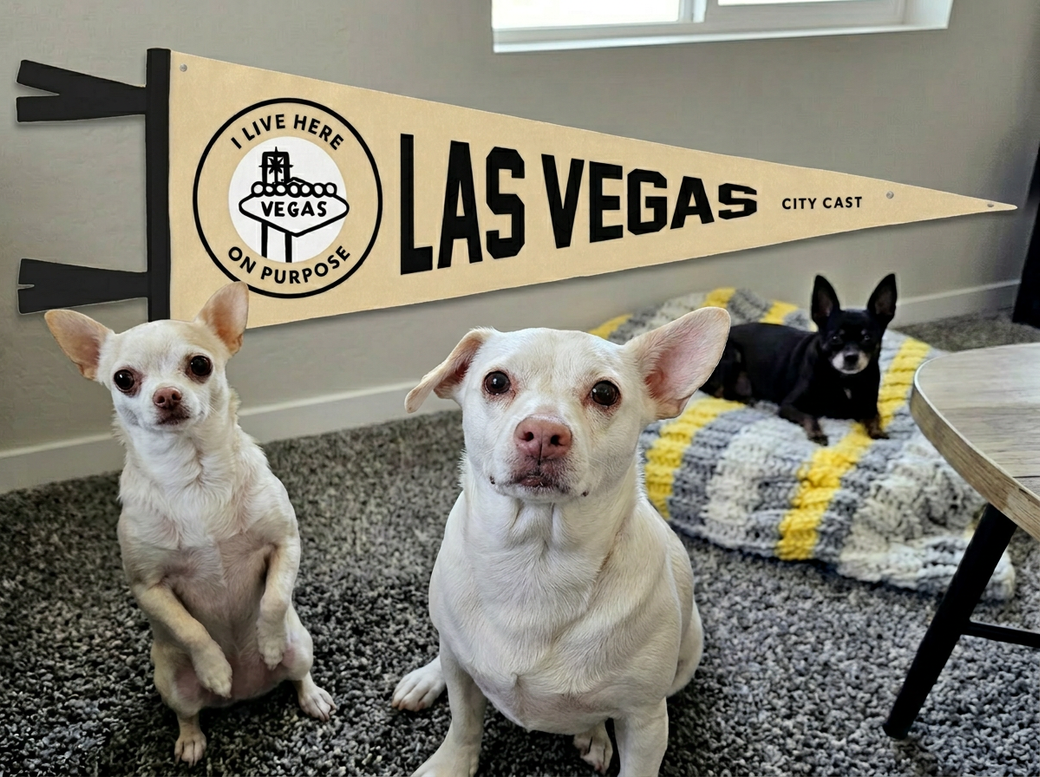 Three dogs in front of a pennant.