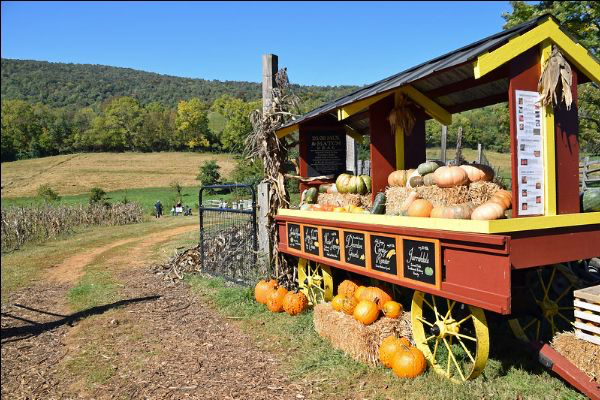Sky Meadows State Park in VA. (Virginia State Parks/ Flickr)