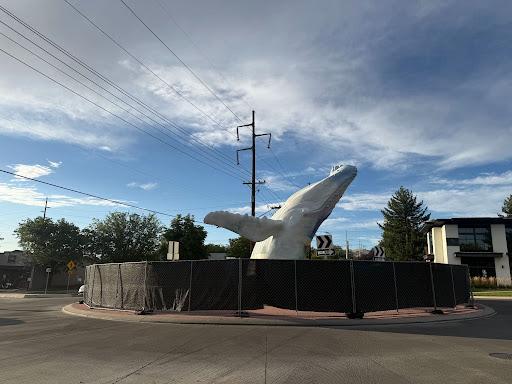 A photo of the 9th and 9th whale undergoing painting.