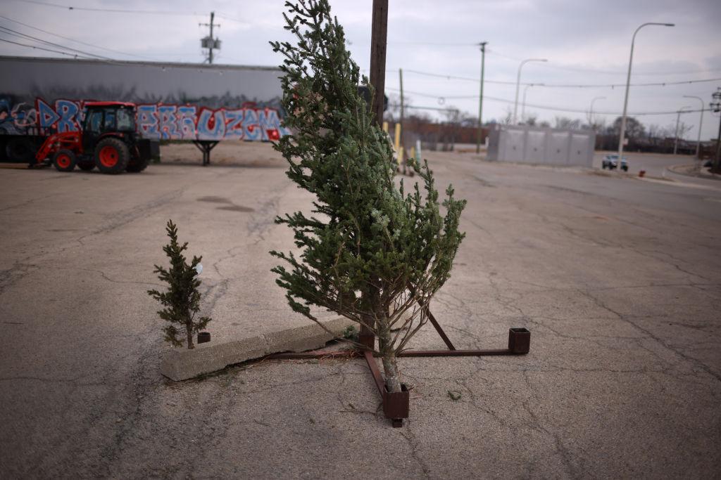 A lone Christmas tree in Chicago in 2020
