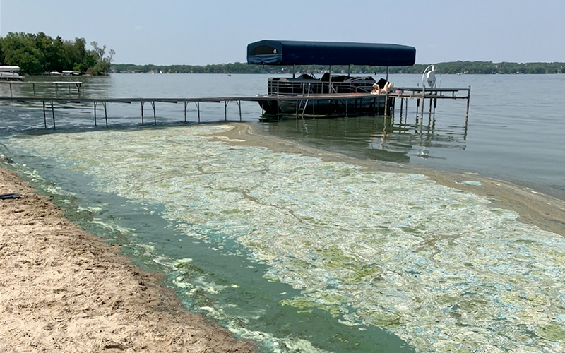 Blue-green algae is a type of bacteria that grows toxic blooms in our lakes. (Photo by City of Madison)