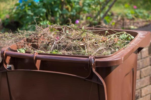Pittsburgh Will Collect Your Yard Waste This Weekend image