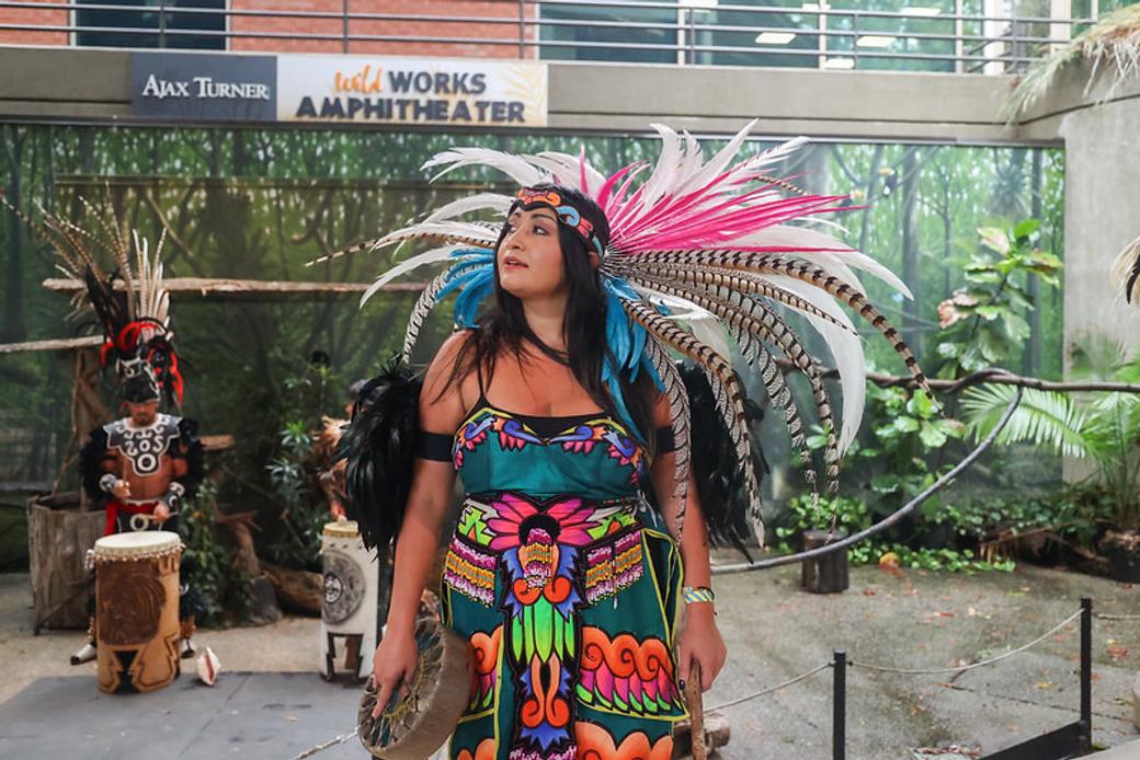  A woman in brightly colored Aztec dress with feathers. Two drummers are in the background using Aztec instruments. They're surrounded by greenery.