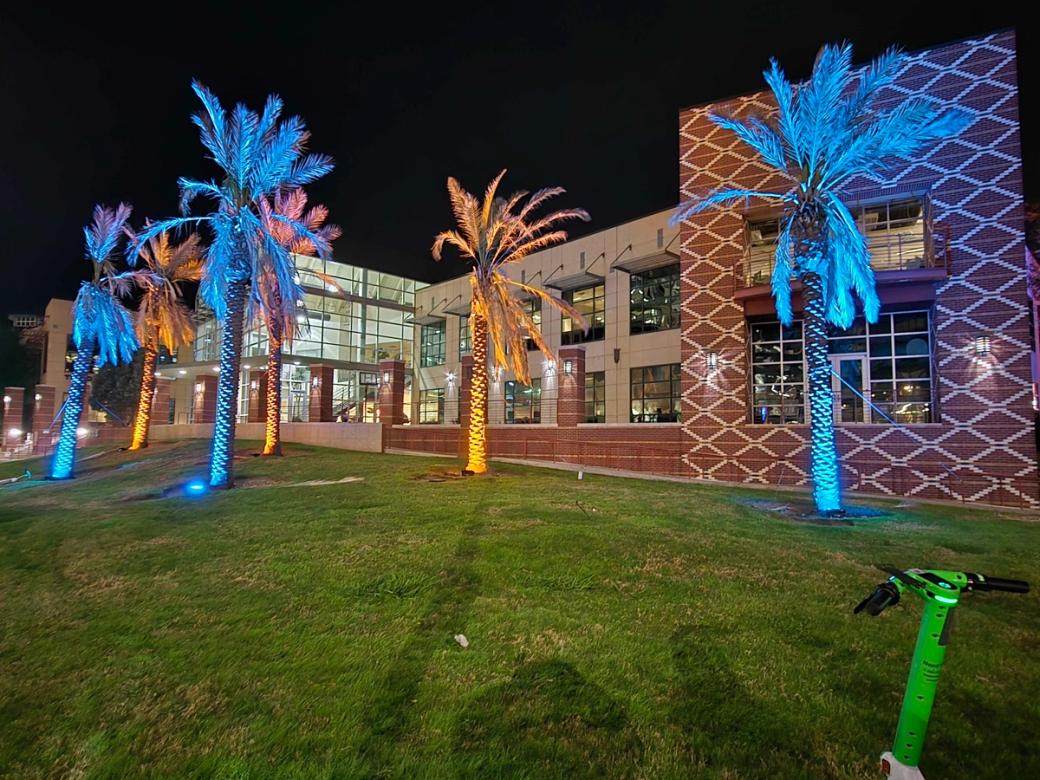 Palm trees at night lit up blue and orange.