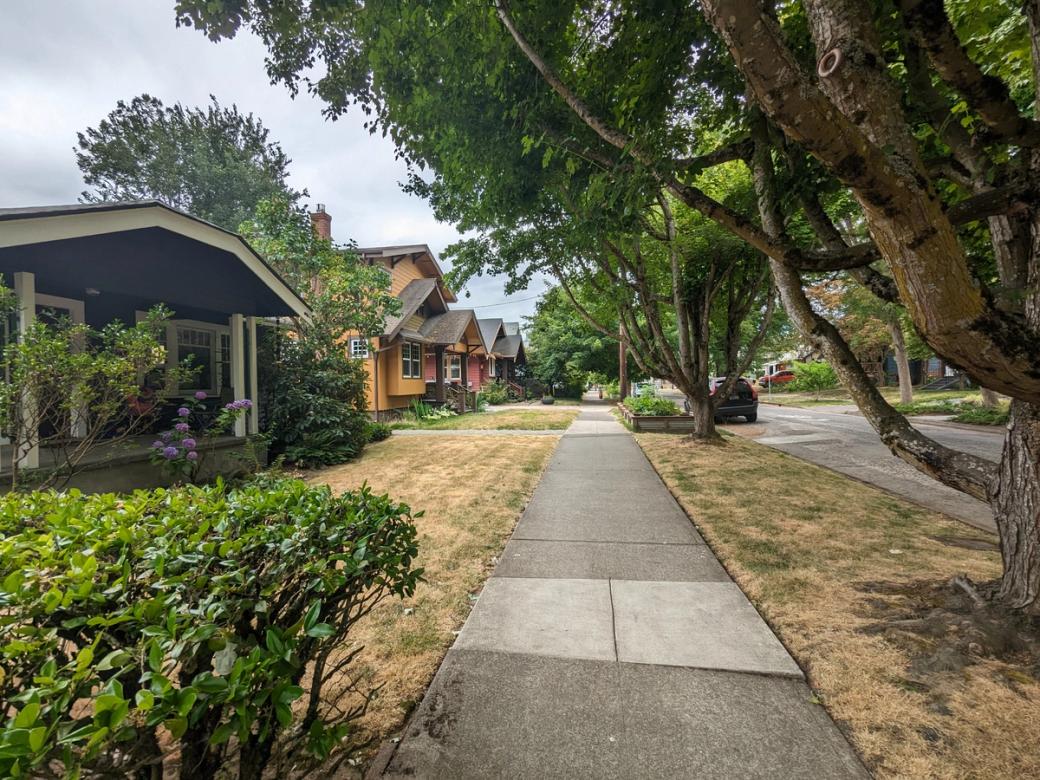a tree-lined streets with bungalows in Portland, Oregon