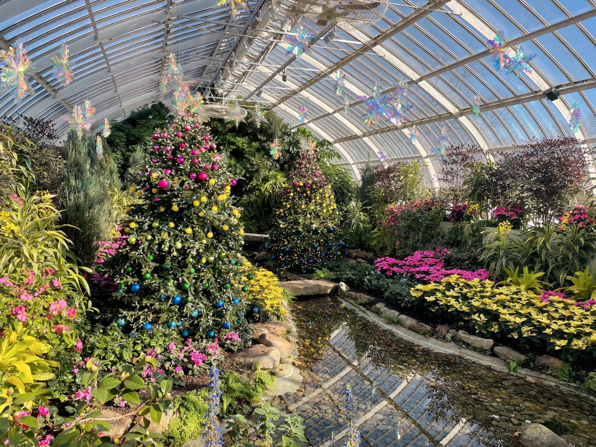 A past winter display at Phipps Conservatory and Botanical Gardens. (Francesca Dabecco / City Cast Pittsburgh)
