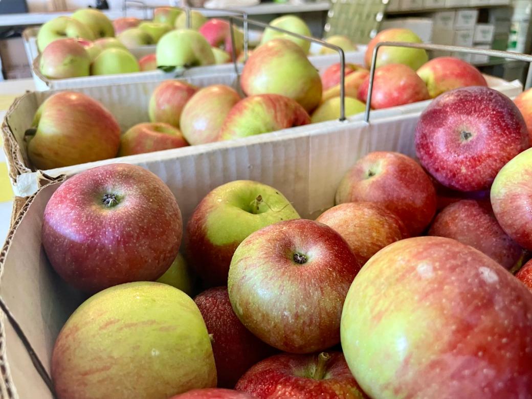 boxes of apples