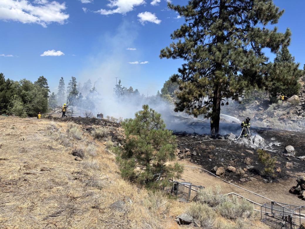 Two firefighters spraying a substance on burnt ground. A tall tree stands in the foreground and dry grasses.