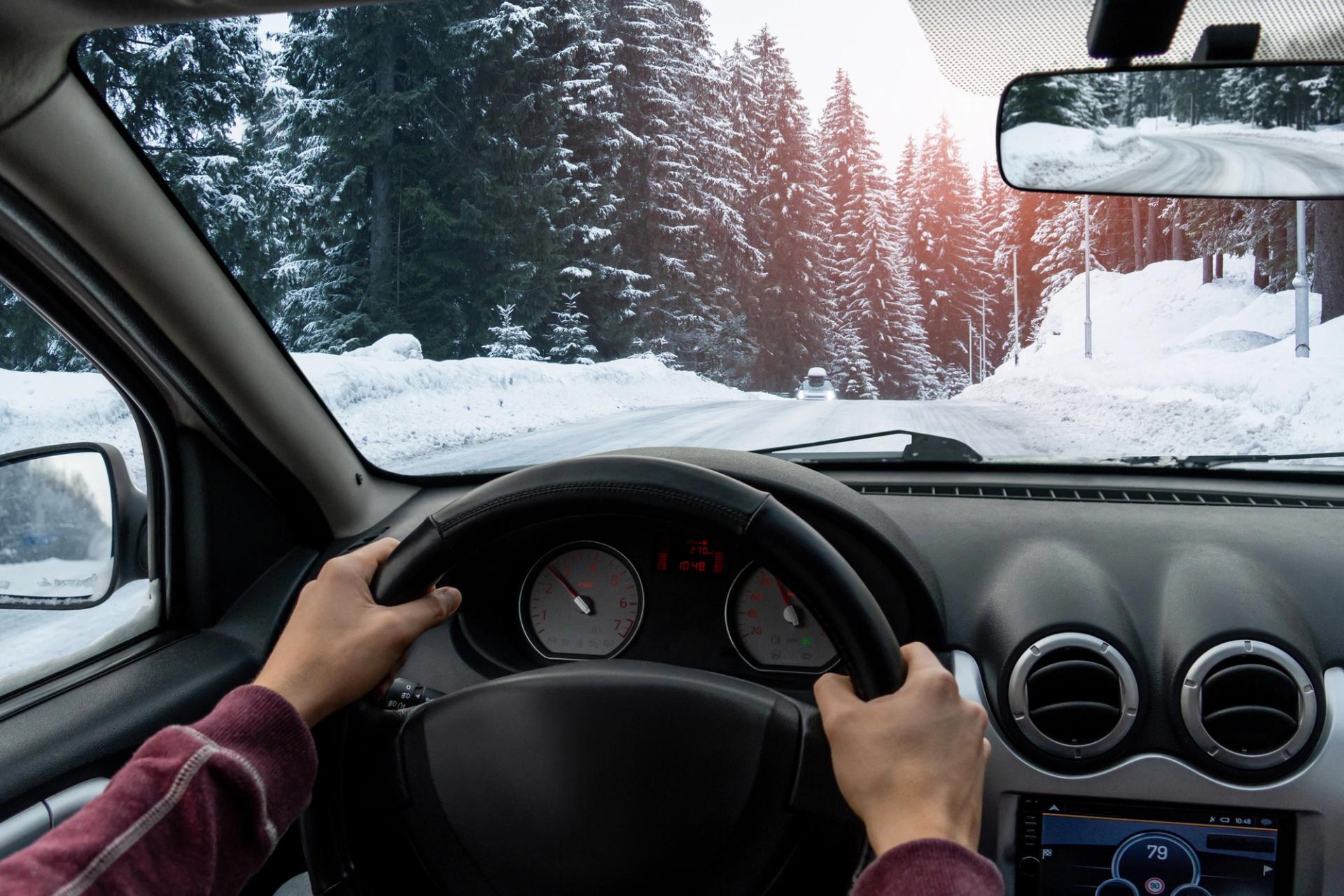 Driver's POV on a snowy tree-lined road.
