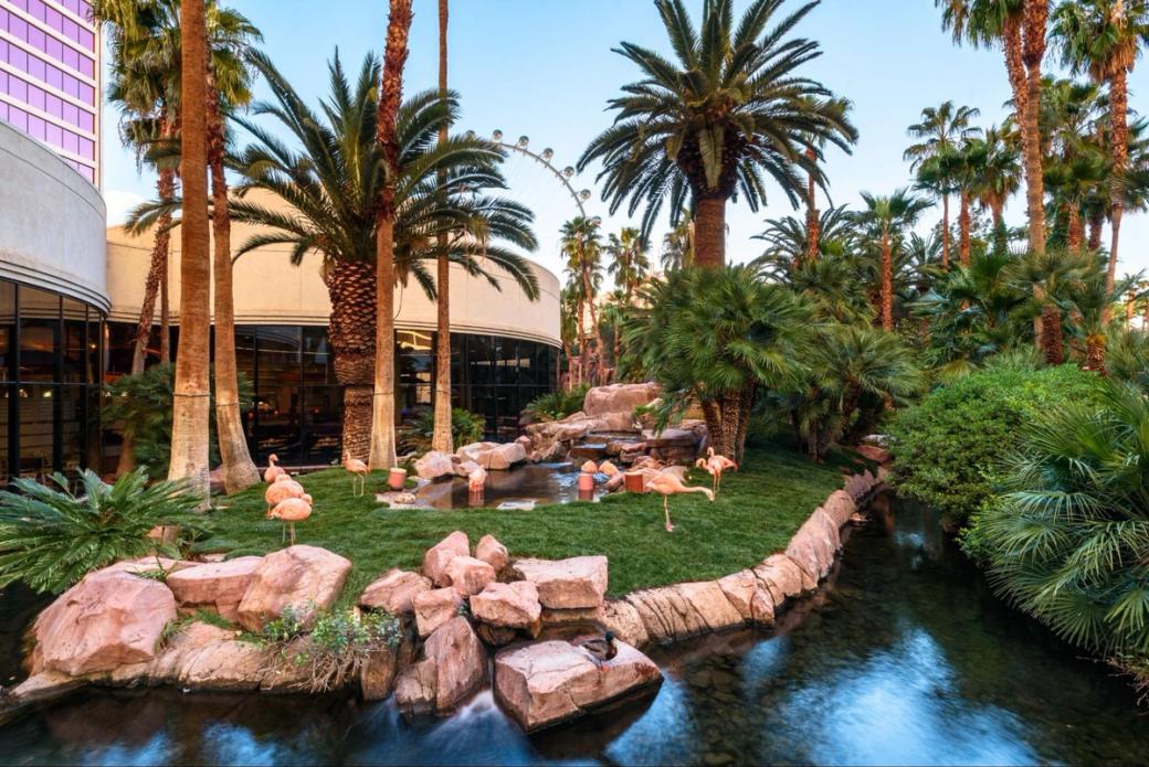 A natural habitat outside a hotel with palm trees, grass and water.