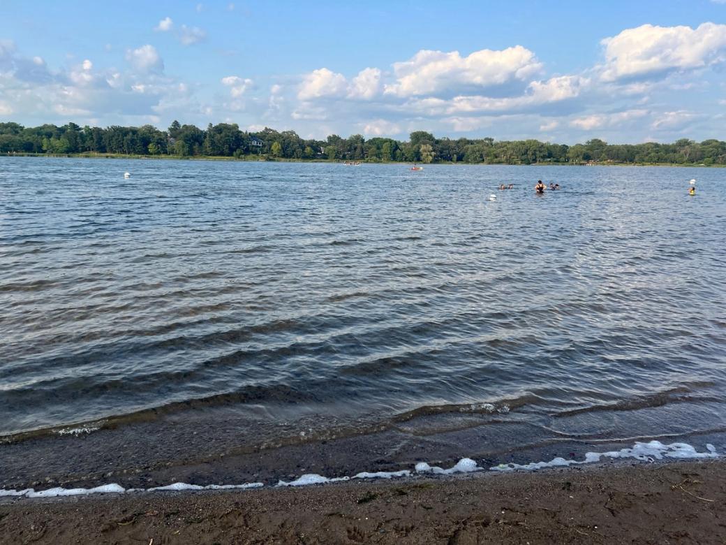 Shoreline of freshwater lake, with lots trees on the other side of the lake in the distance