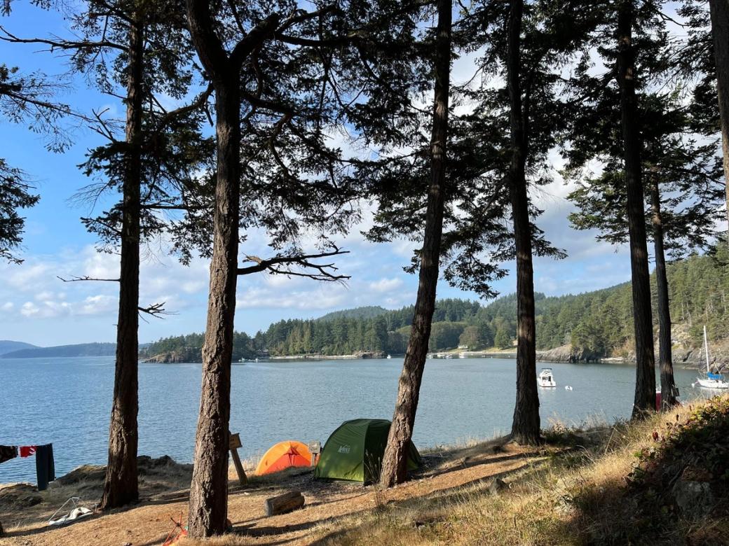 Two small green and orange tents sit on a hillside between pine trees overlooking a cove with boats floating in the harbor. It’s a sunny day with patchy white clouds.
