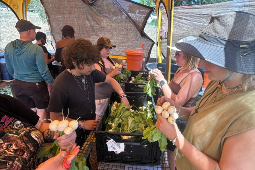 Display ad for Healthy Food for Denver's Kids
