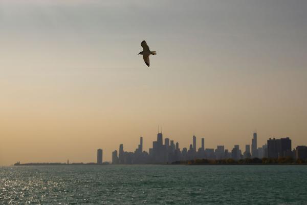 Why Chicagoans Should Turn Lights Off This Fall image