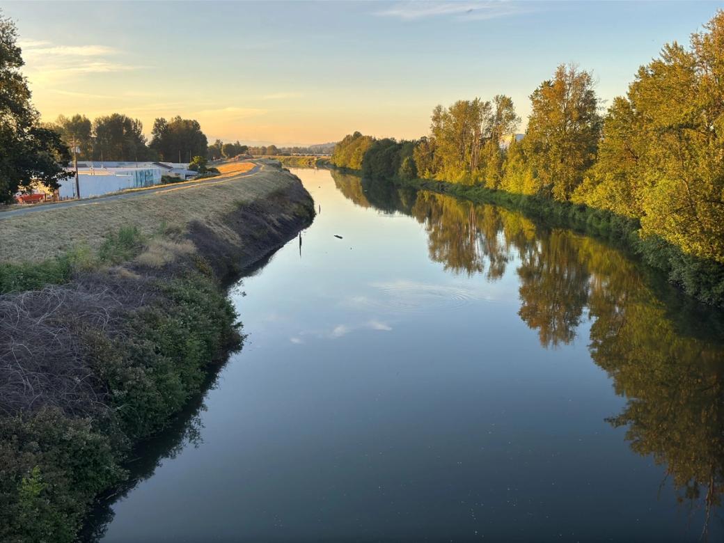 Clear sky with a tinge of sunset over what looks like a stream