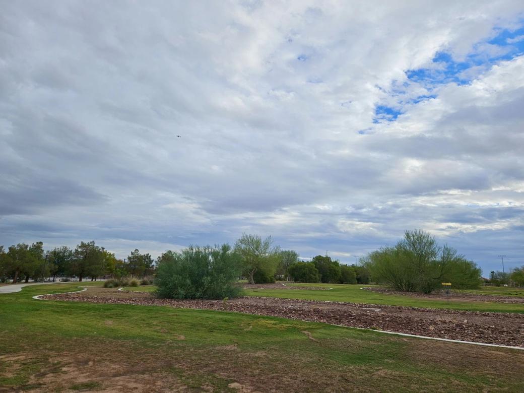 Gray skies above green grass at a Las Vegas park.