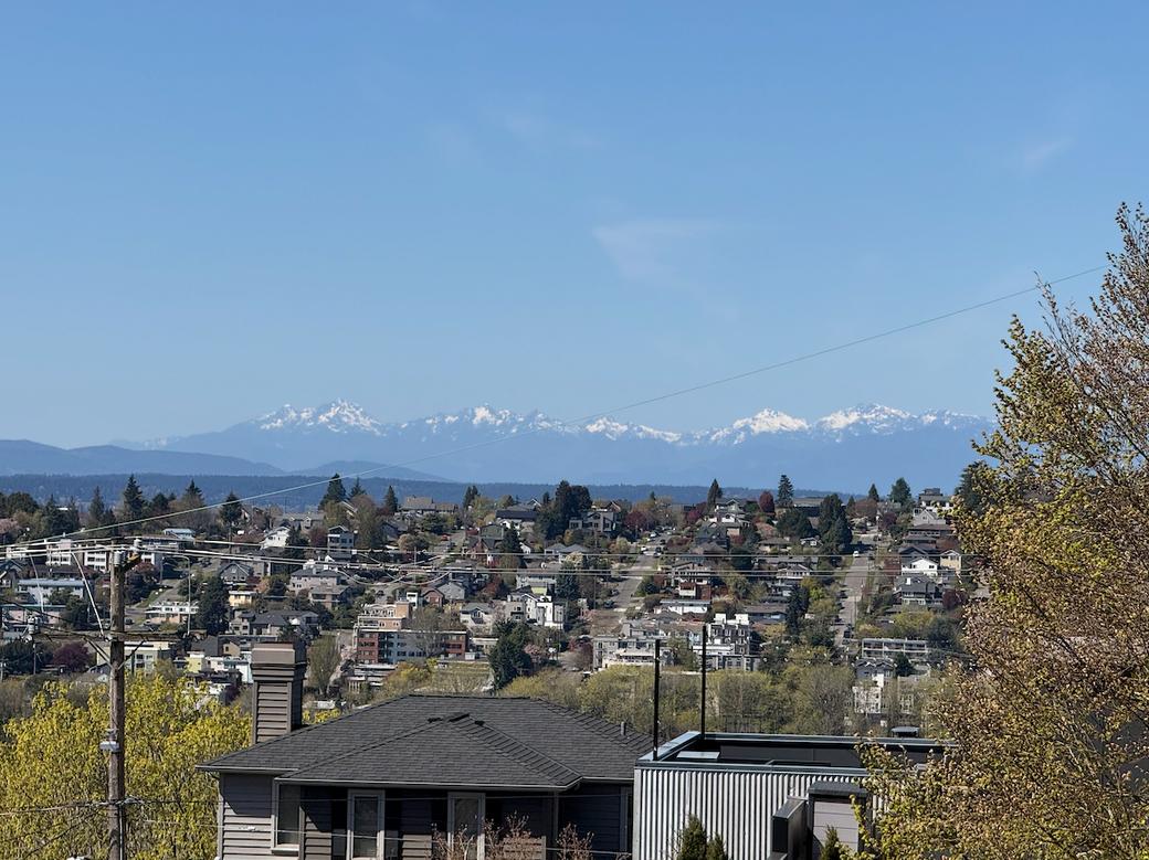 an image of the Olympic Mountains from North West Seattle with Magnolia in the foreground