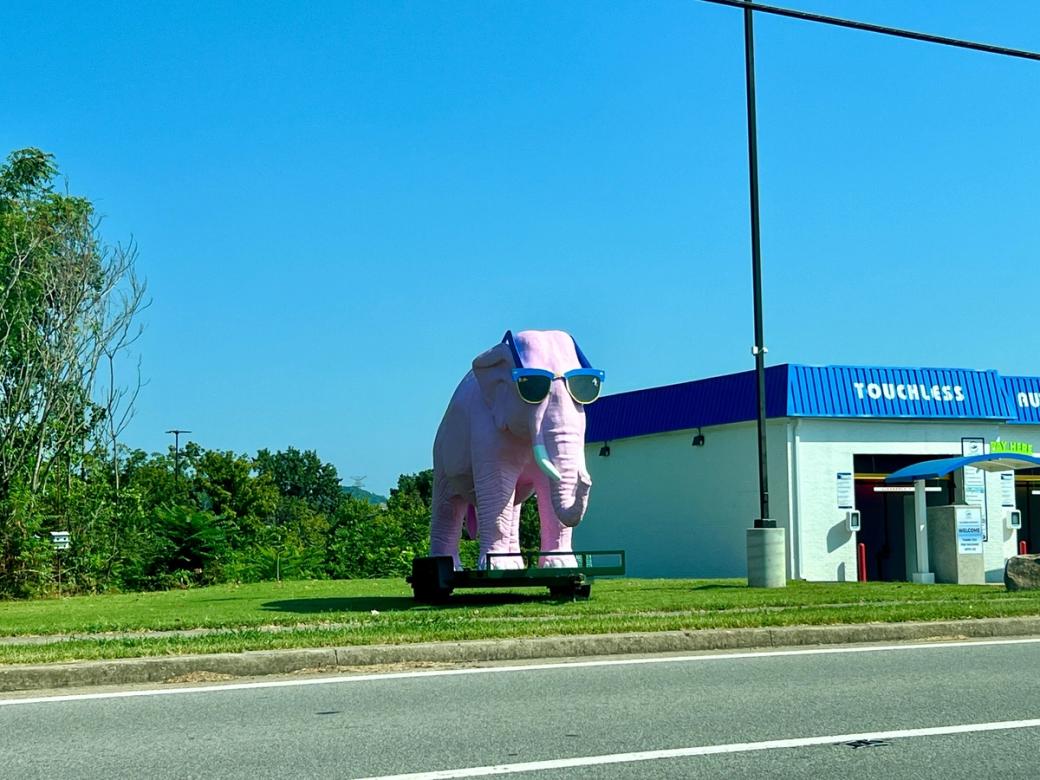 A pink elephant statue wearing sunglasses on the side of the road by a car wash.