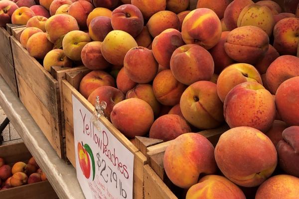 The Best Peach Picking Spots in DC image