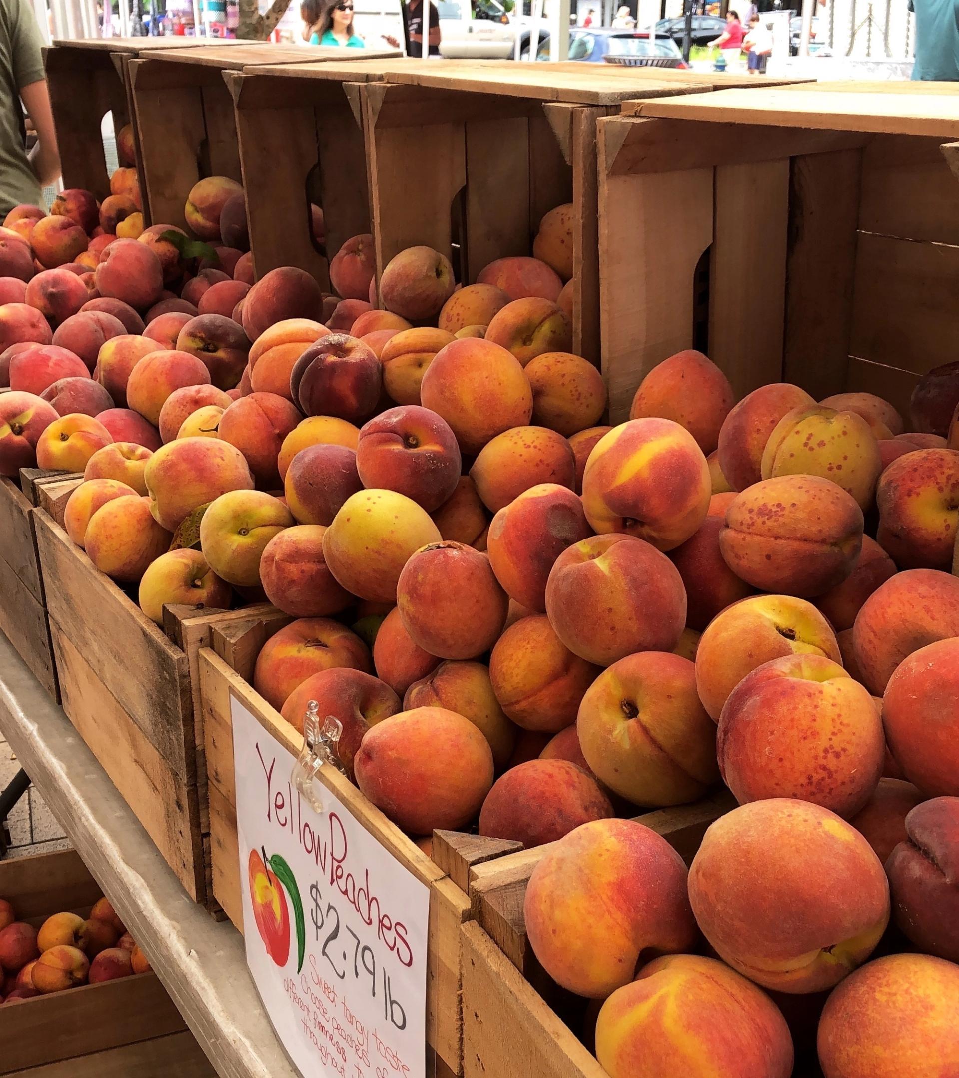 Peaches galore at the Mount Pleasant farmers market. (Kaela Cote-Stemmermann/City Cast DC)