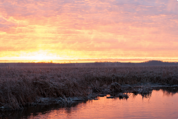 A sunrise at Horicon Marsh
