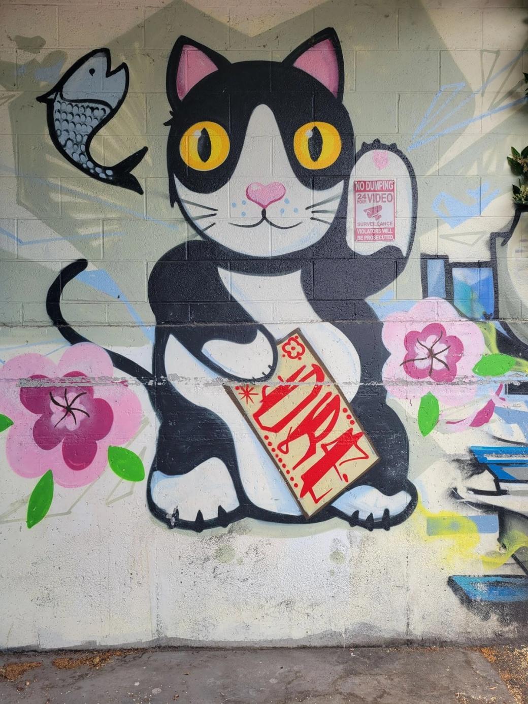 black and white cat with a fish above its shoulder