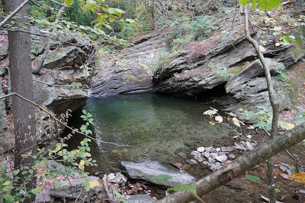 Swimming hole and rock gorge surrounded by foliage