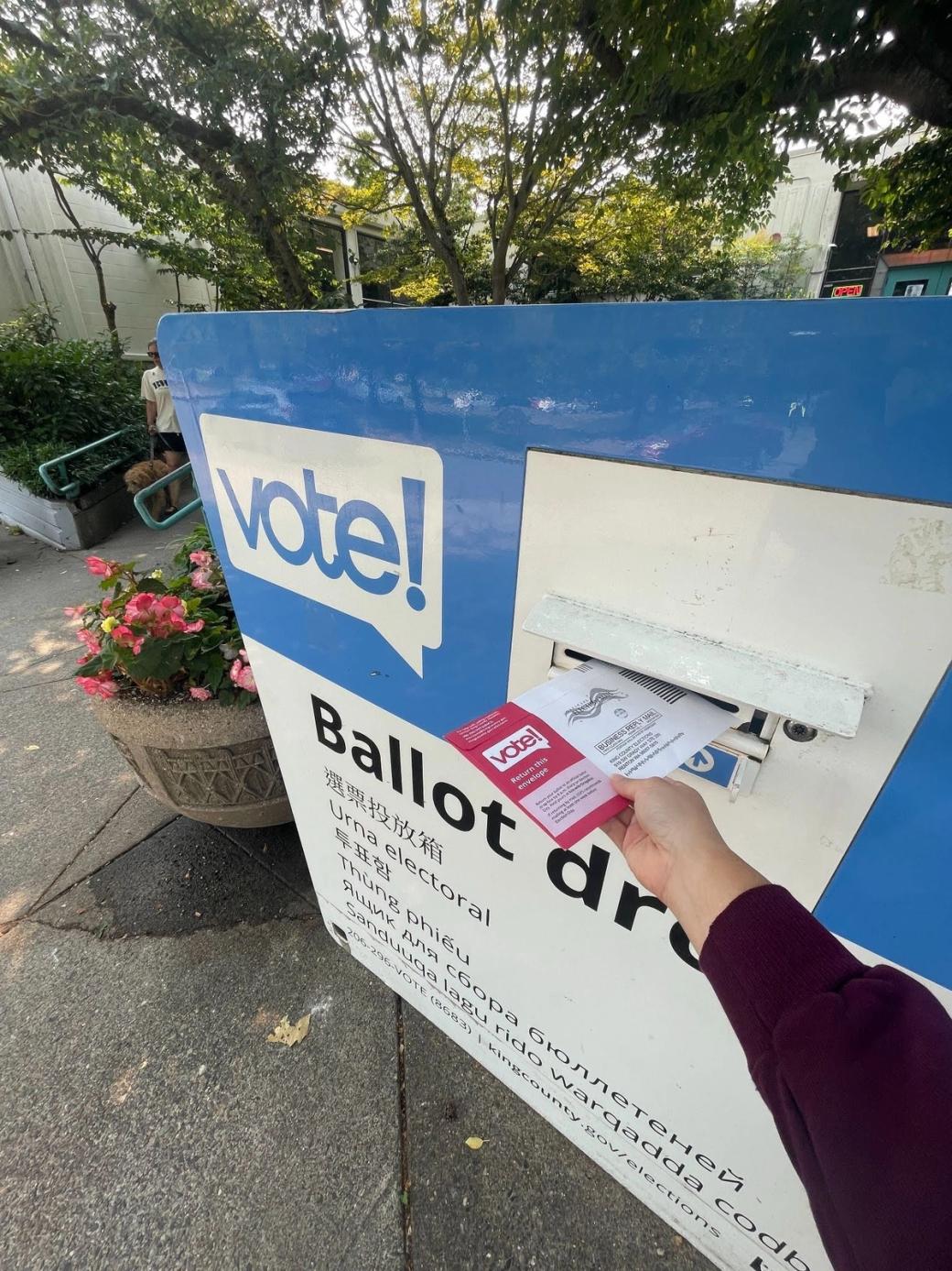 an image of a hand putting a ballot in a ballot box with some pretty pink flowers next to the box