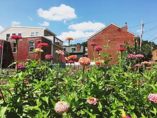 Blooms on the North Side.