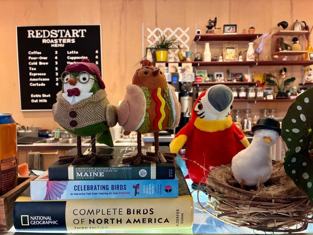 Four little stuffed bird toys stand on the counter at Redstart Roasters, a bird-friendly shop. Two of the birds wear costumes, one looking like Sherlock Holmes in a coat, hat and glasses, and one in a hot dog costume. 