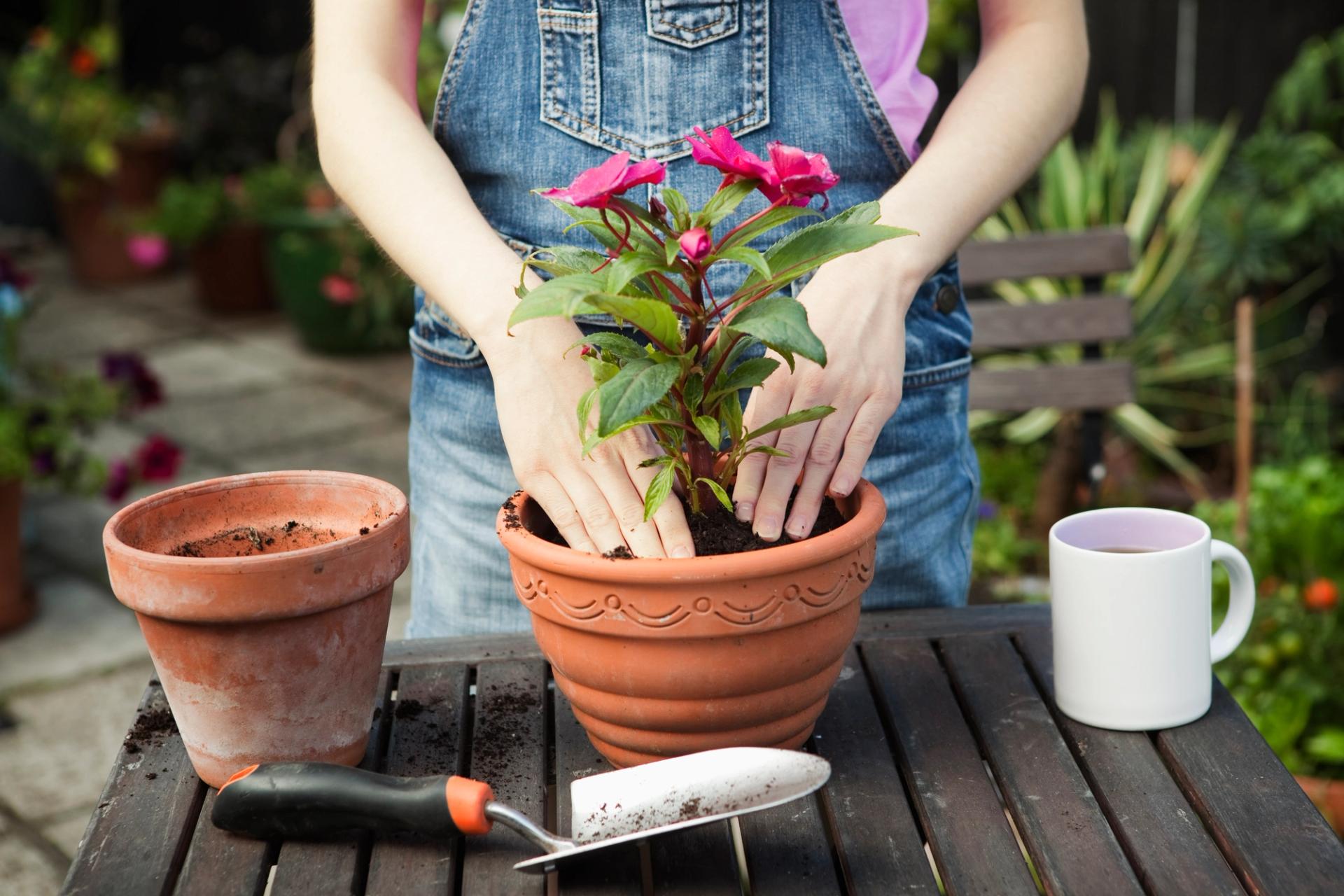 gardening hands