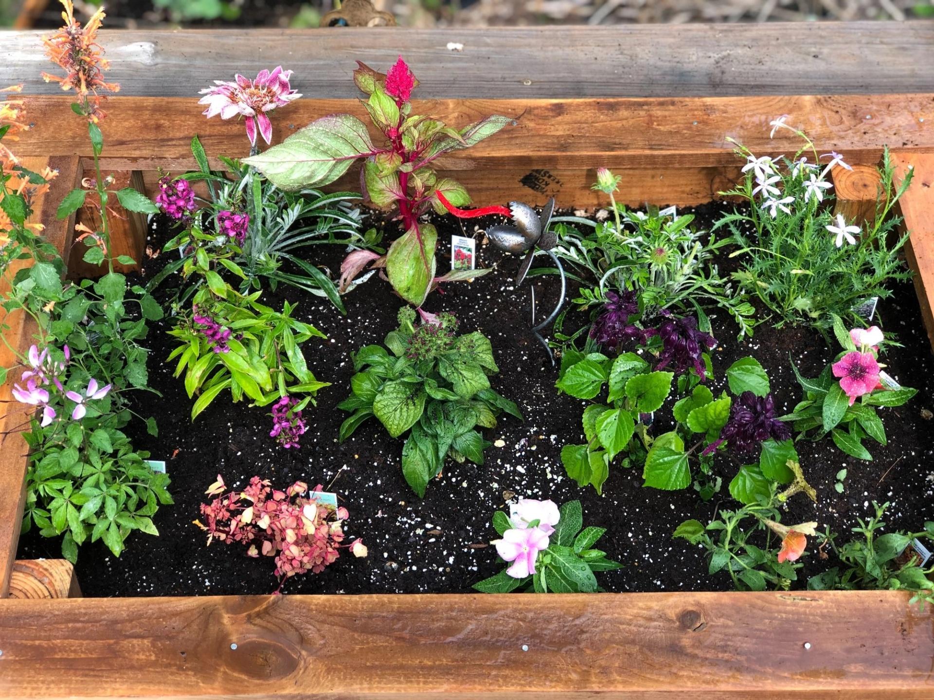 A planter with an assortment of flowers