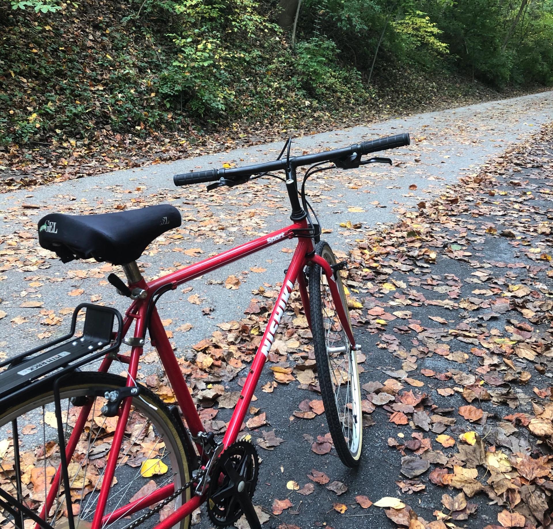 Biking on the Capital Crescent Trail. (Kaela Cote-Stemmermann/City Cast DC)
