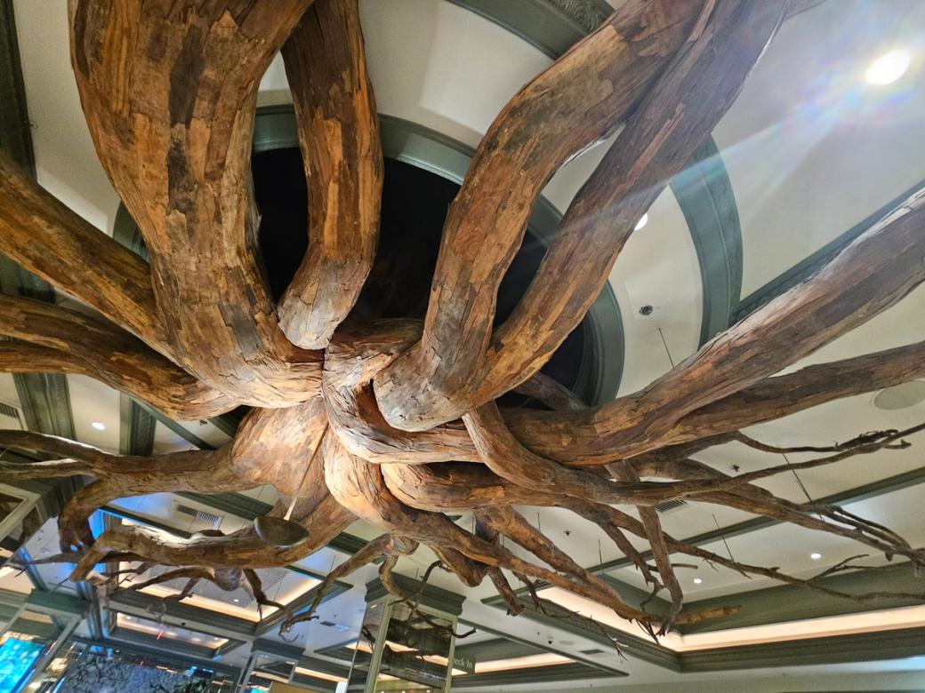 A ceiling covered with wood that looks like tree branches. 