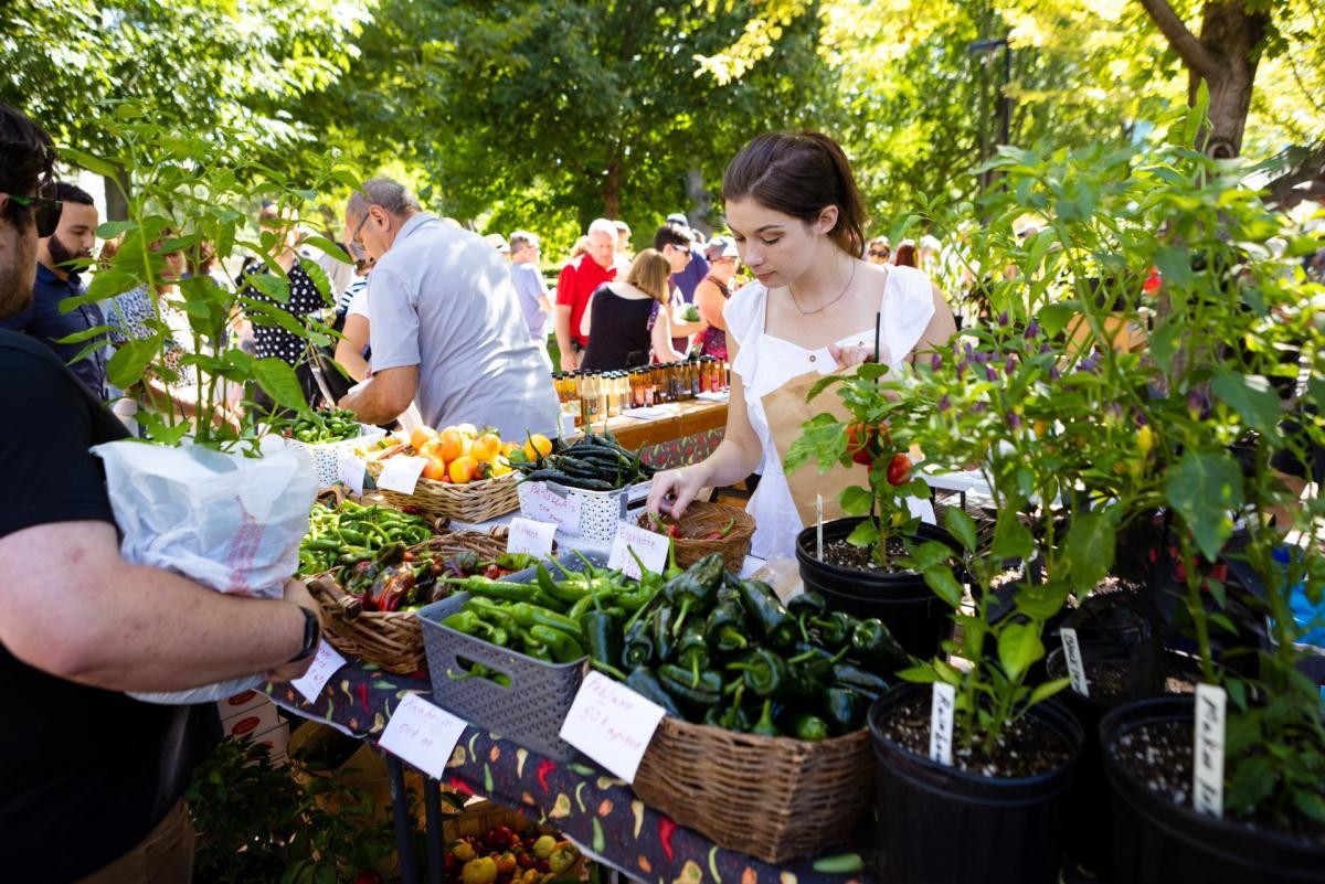 a woman shops at a stand at the market
