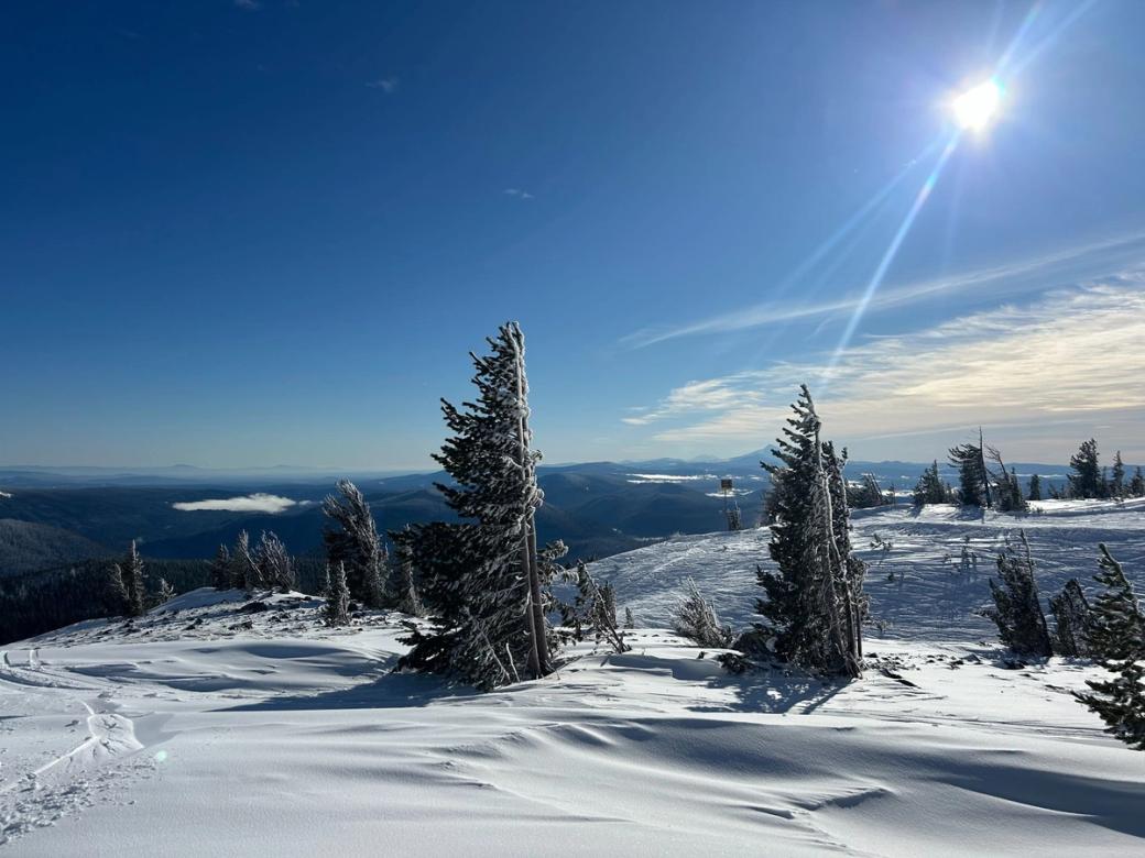 The view from a snowy mountain top with trees on a sunny day.
