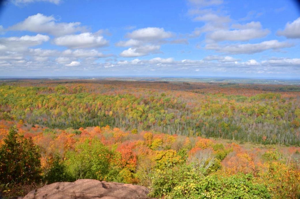 fall leaves and blue skies