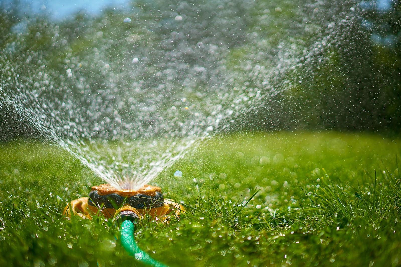 a sprinkler system waters green grass