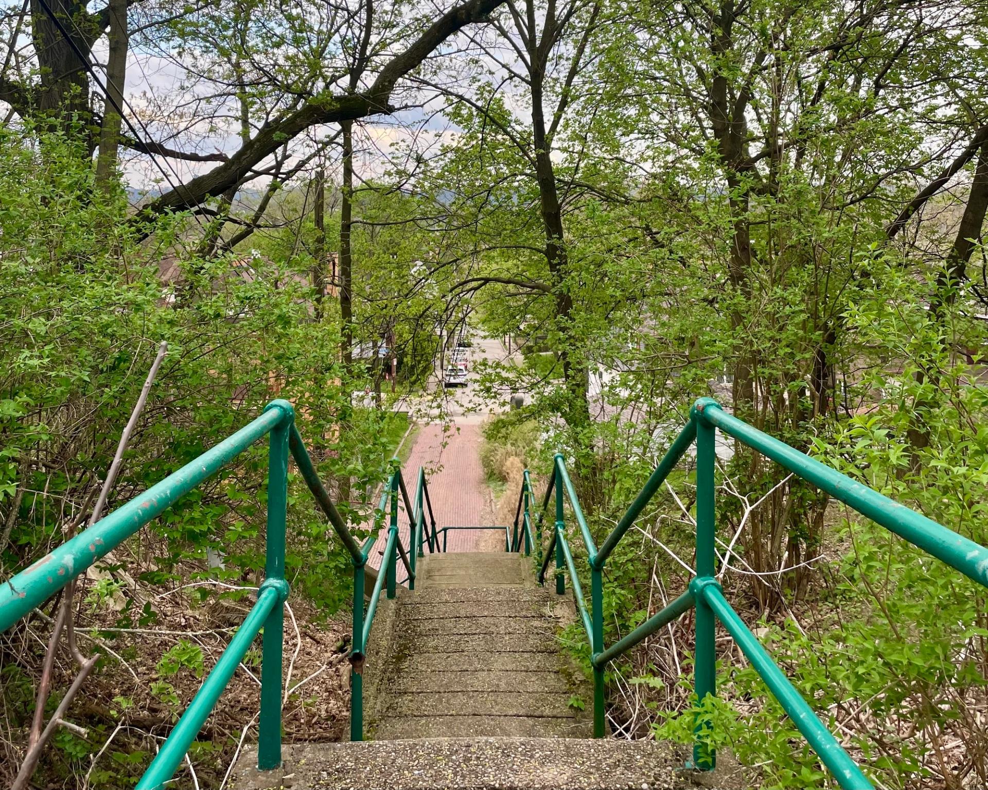 pittsburgh steps and spring trees