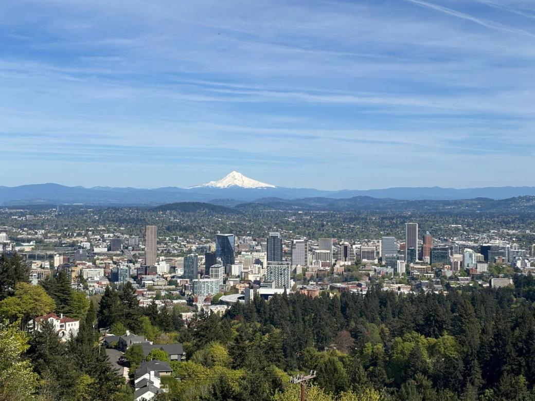 A view of the Portland skyline on a sunny day with trees, buildings, and a snow-covered Mt. Hood in the distance.