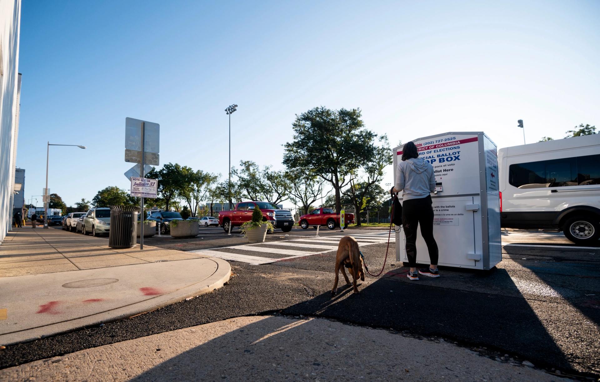 A woman and her dog at an official ballot drop box.