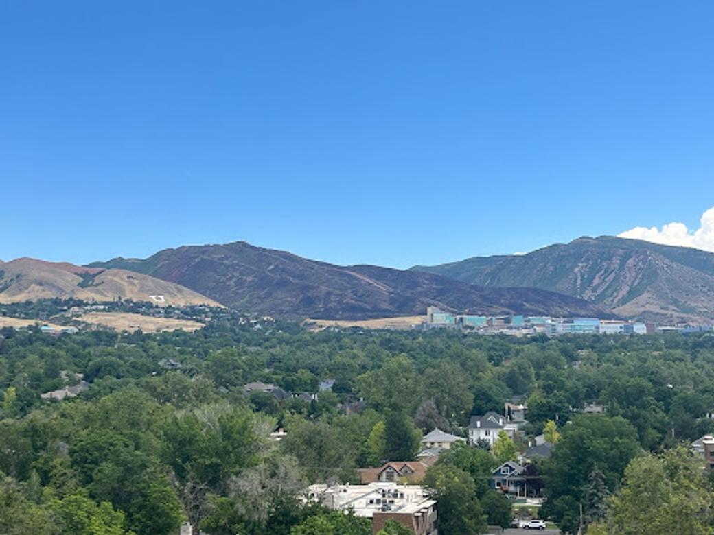Picture of the Aftermath of the Bonneville Fire behind the University of Utah