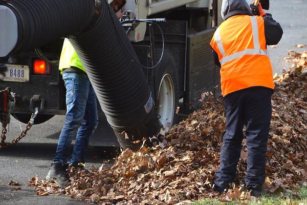 DC's Improved Leaf Collection Protocol image