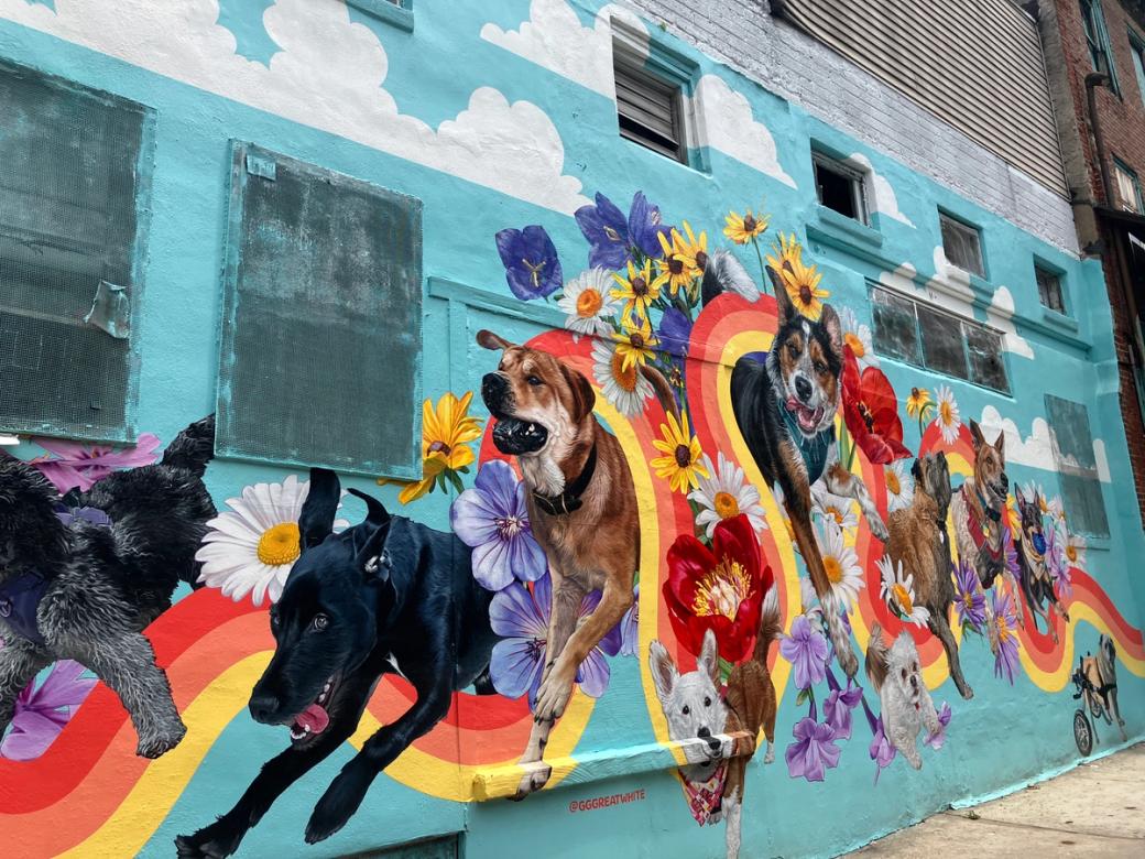 A mural of different dog breeds surrounded by flowers and red, orange and yellow paintstrokes. In the background are clouds to appear as a sky.