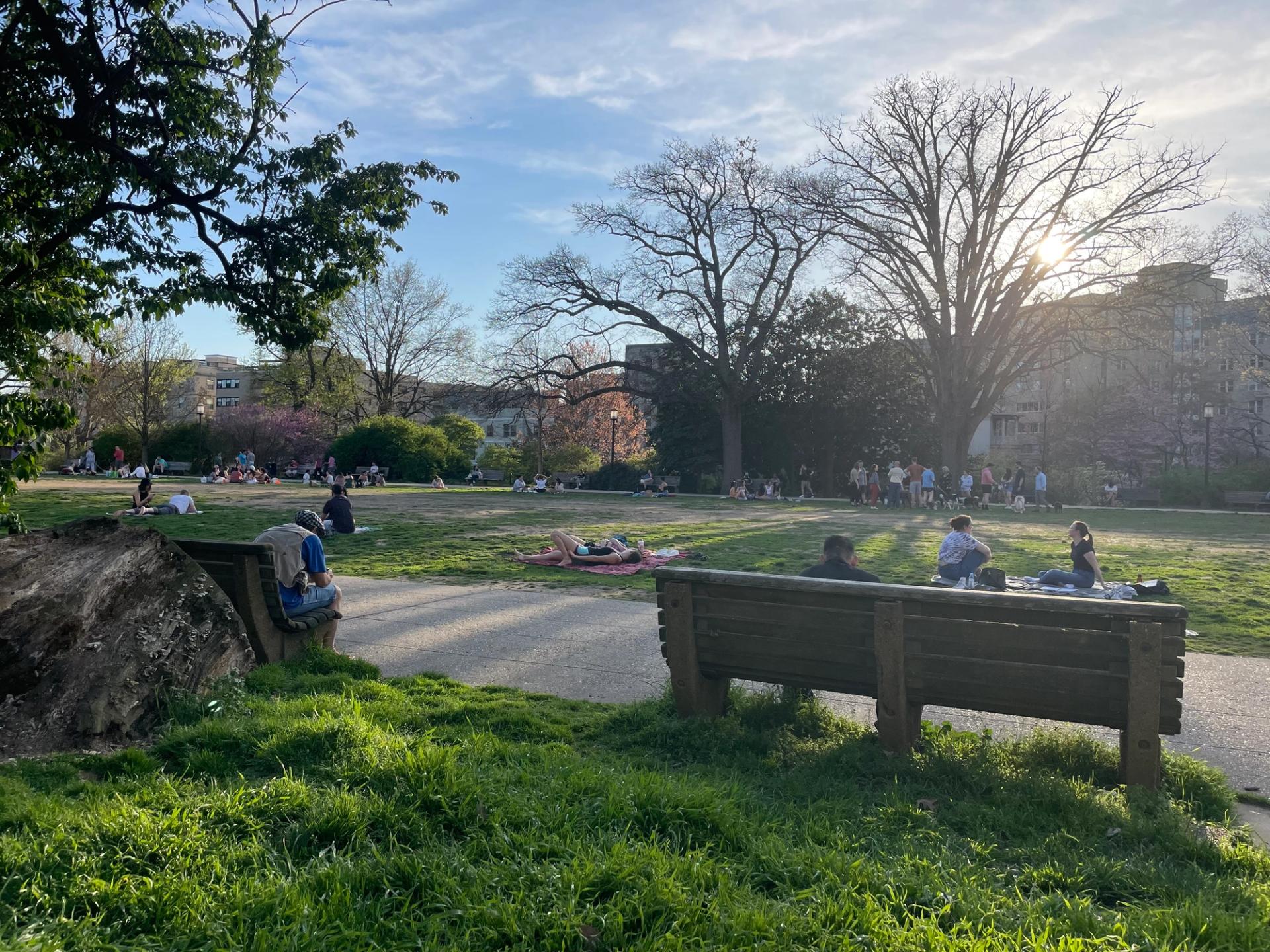 Malcolm X/Meridian Hill Park on one of the first warm days of spring. (Kaela Cote-Stemmermann/City Cast DC)