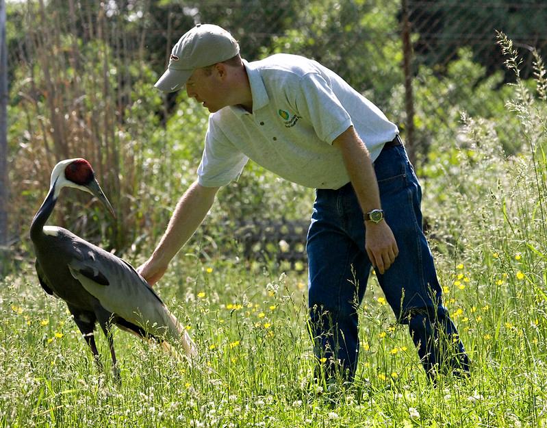 Walnut socializes with her keeper, Chris Crowe.