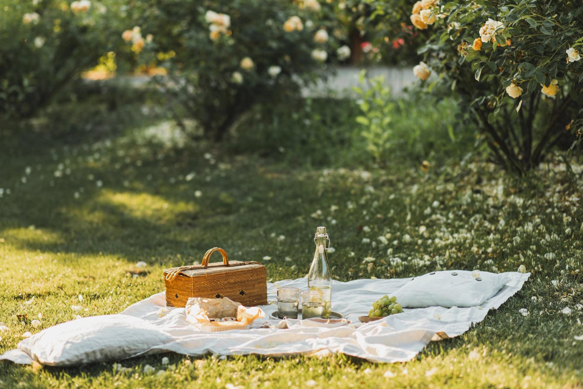 Photo of a picnic blanket on the grass.