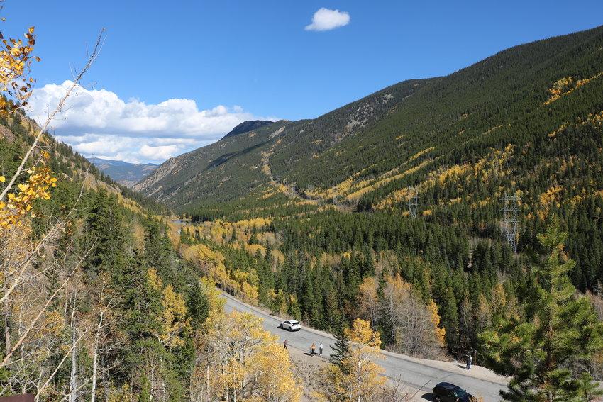 A high-level view of leaves changing colors along Guanella Pass